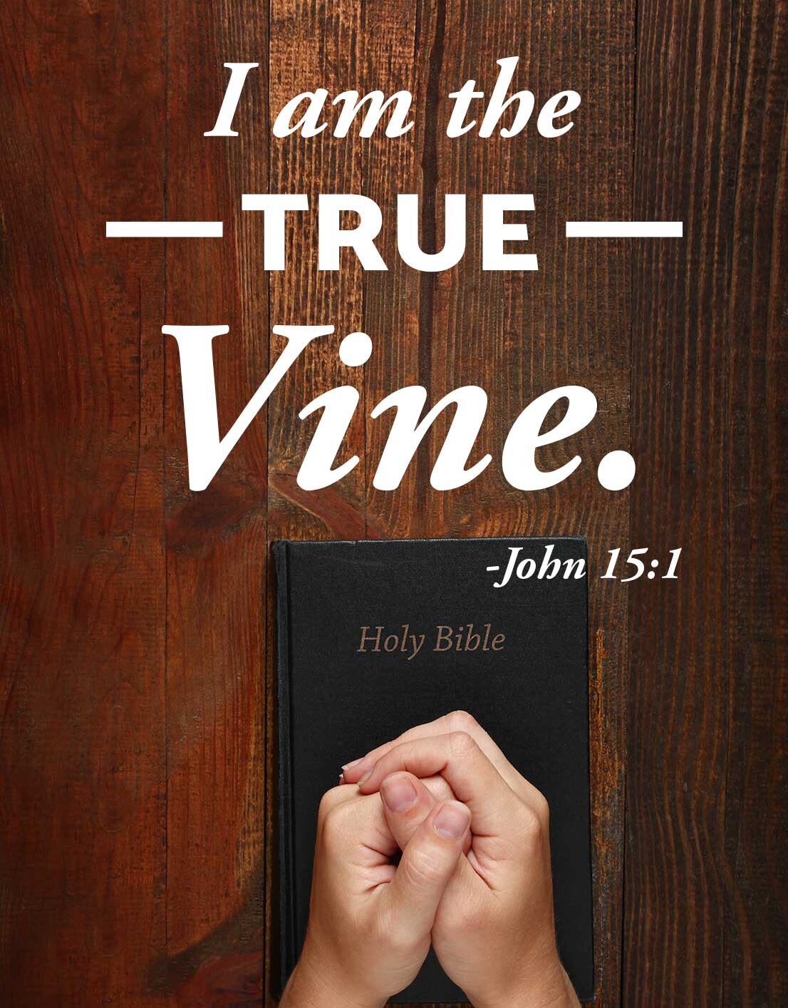 I-am-the-true-vine-2 I-am-the-true-vine-2