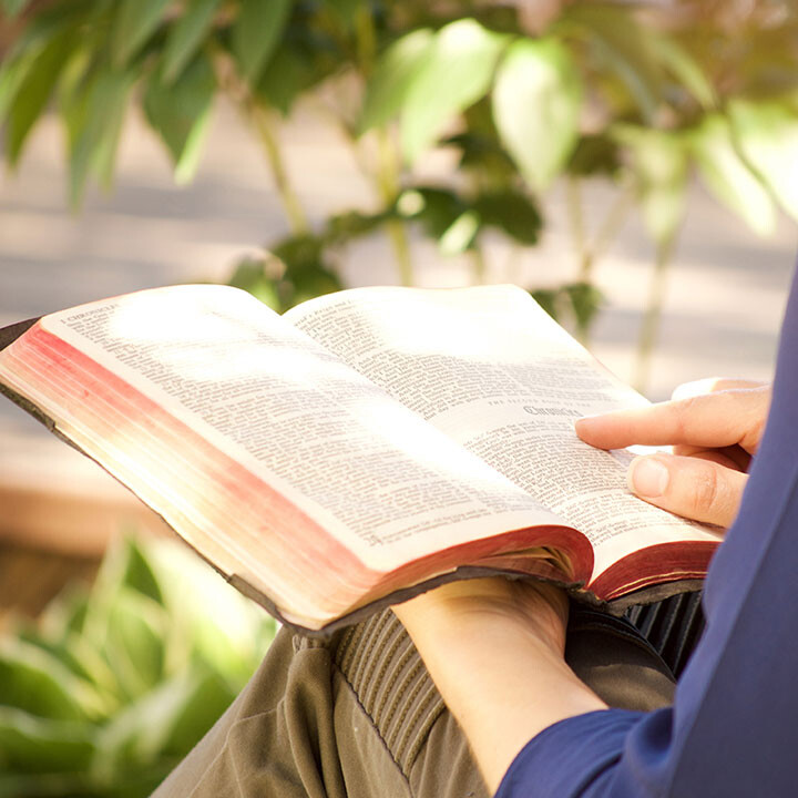 Reading the Bible